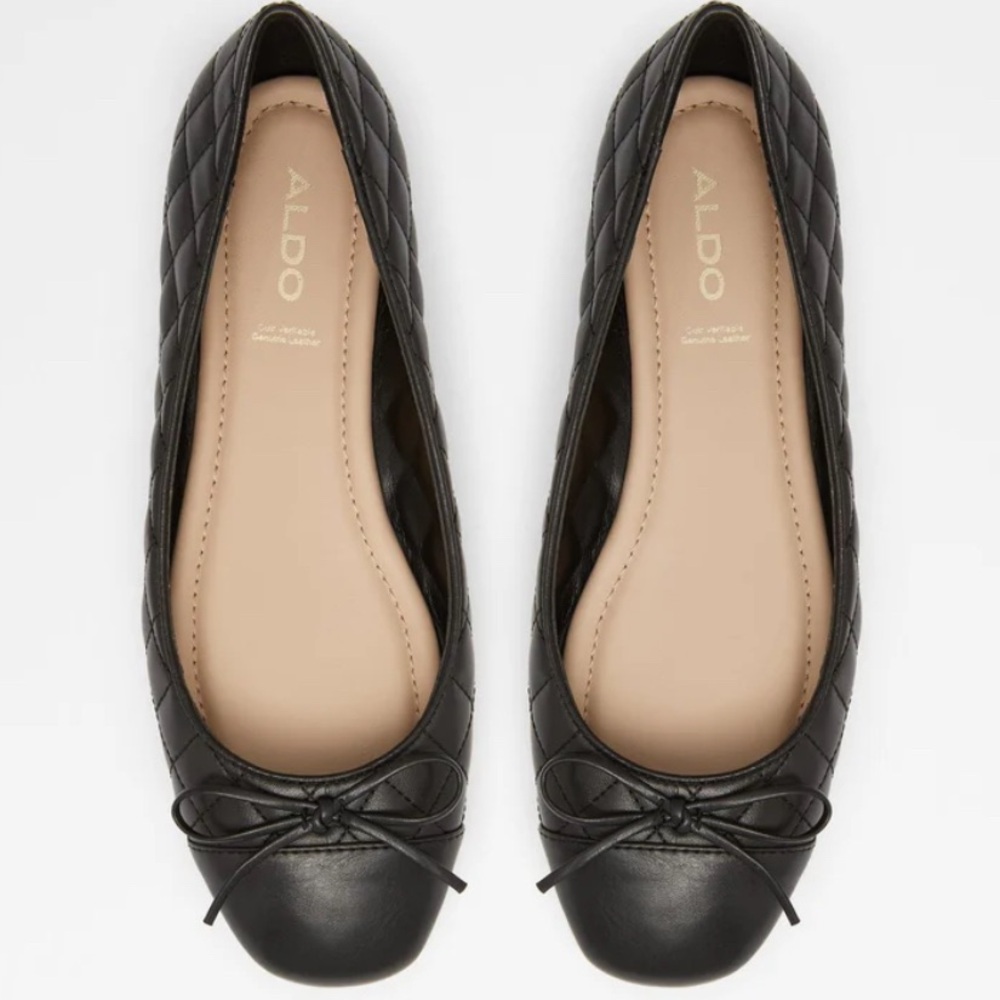 ALDO Braylynn Ballet Flats